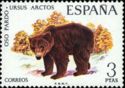 Brown Bear (Ursus arctos)
