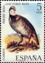 Red-legged Partridge (Alectoris rufa)