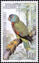 St. Lucia Parrot (Amazona versicolor)