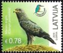 Fund for Nature - Lesser Spotted Eagle (Clanga pomarina)