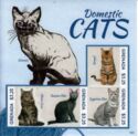 Domestic cats