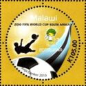 2010 FIFA World Cup - Flag of Botswana