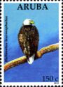 Bald Eagle (Haliaeetus leucocephalus)