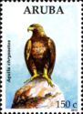 Golden Eagle (Aquila chrysaetos)