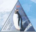 Gentoo Penguin (Pygoscelis papua)