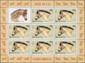 Huțul Horse (Equus ferus caballus) MS