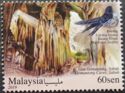 Gomantong Caves, Sabah and Black-Nest Swiftlet