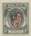 King George VI overprinted with Okugawa Seal