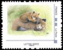 Brown bear cubs