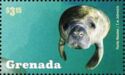 Marine Life - West Indian Manatees