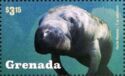 Marine Life - West Indian Manatees