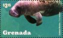 Marine Life - West Indian Manatees