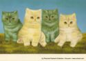Cats Art by Anna Hollerer. "Katzenkinder"