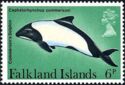 Commerson's Dolphin (Cephalorhynchus commersonii)