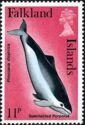 Spectacled Porpoise (Phocoena dioptrica)