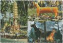 Bali. Cremation