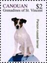 Parson russell terrier