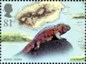 Marine Iguana (Amblyrhynchus cristatus)