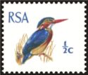 African Pygmy Kingfisher (Ispidina picta)
