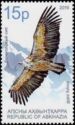 Eurasian Griffon (Gyps fulvus)
