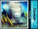 Dugong dugon