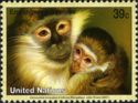 Collared Mangabey (Cercocebus torquatus)