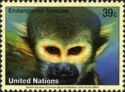 Common Squirrel Monkey (Saimiri sciureus)