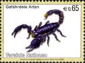 Emperor Scorpion (Pandinus imperator)
