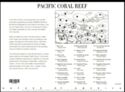 Pacific Coral Reef