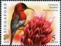 Crimson Sunbird (Aethopyga siparaja) Imprint 2007A