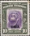 Bornean Orangutan (Pongo pygmaeus) - overprinted