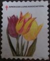 American Lung Association. Tulip