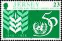 Symbolic Wheat and United Nations Anniversary Emblem