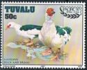 Stamp:-Muscovy-Duck-(Cairina-moschata-domestica)-(Tuvalu)