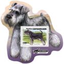 Dog Breeds - Miniature Schnauzer (Canis lupus familiaris)
