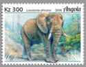 African Elephant (Loxodonta africana)