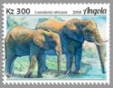 African Elephant (Loxodonta africana)