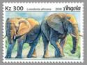 African Elephant (Loxodonta africana)