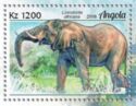 African Elephant (Loxodonta africana)