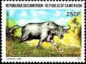African Buffalo (Syncerus caffer)