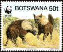 Brown Hyaena (Hyaena brunnea)