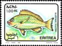 Bluestripe Snapper (Lutjanus kasmira)