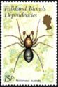 Spider (Notiomaso australis)