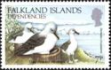 Grey-headed Albatross (Diomedea chrysostoma)