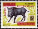 Common Warthog (Phacochoerus africanus) overprint