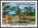 Reticulated Giraffe (Giraffa camelopardalis reticulata)