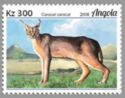 Caracal (Caracal caracal)