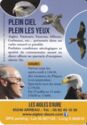Les Aigles D'Aure