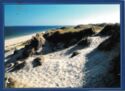 Sylt - Dune