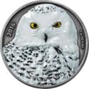 1,000 CFA Francs (The snowy Owl)